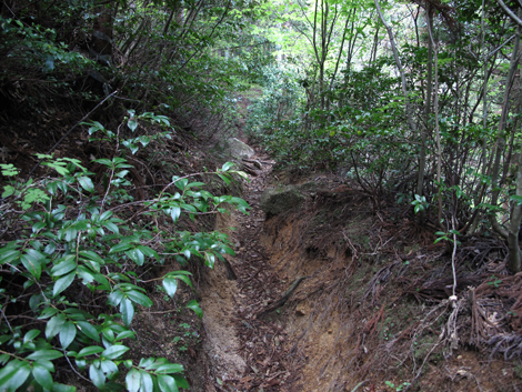 20140502hike (71)